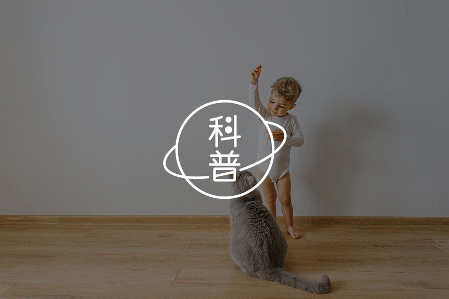 这狗我认识，高考的时候坐我旁边丨狗狗的语言能力有多强？-心理学文章-壹心理